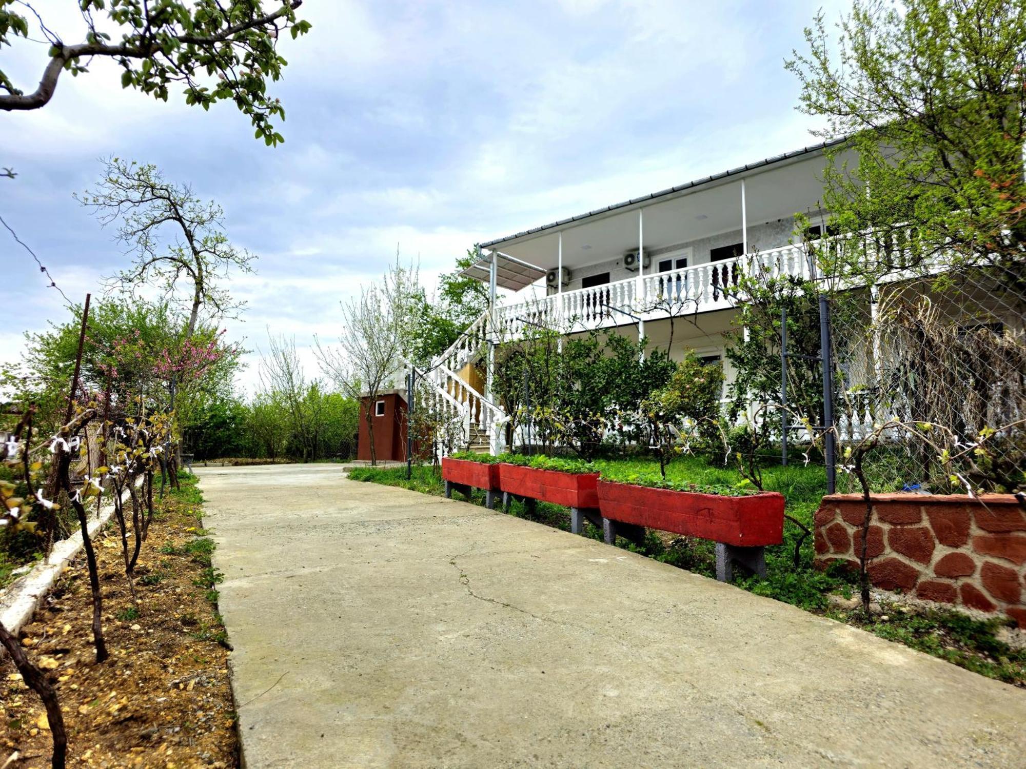 Hilltop Guest House Kutaiszi Kültér fotó
